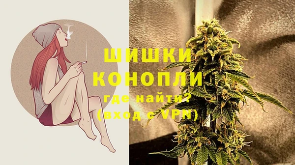 хмурый Пестово