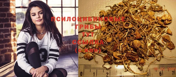 мдпв Переславль-Залесский