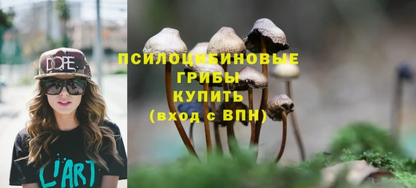 героин Болотное