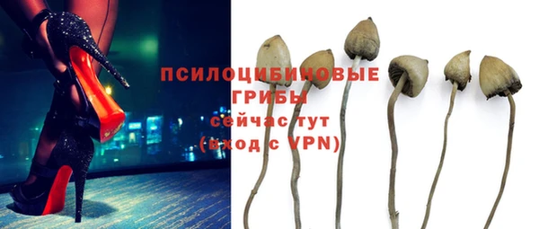 мдпв Переславль-Залесский