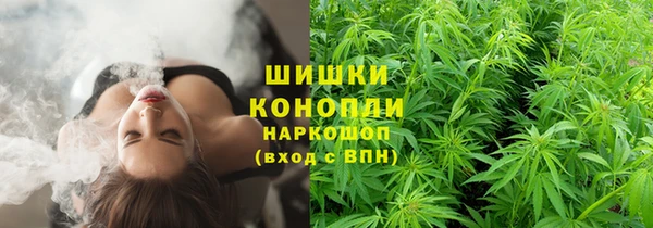 хмурый Пестово