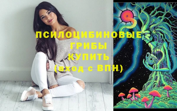 хмурый Пестово